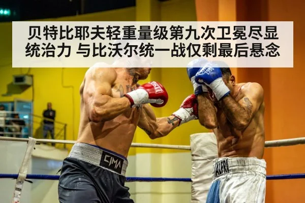 light heavyweight championship